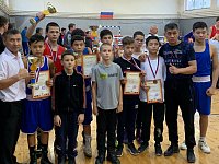 Александрово - Гайские боксёры пополнили копилку наград
