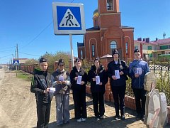 В школах Александрово-Гайского района прошли мероприятия по безопасности дорожного движения