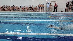 В Александровом Гае прошёл фестиваль по плаванию «Весёлый дельфин — 2026» 