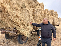 От дедовского поля до гранта «Агростартап»: три поколения семьи Зулкарнаевых