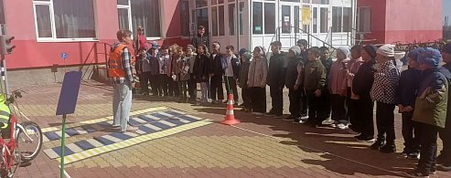 В школах Александрово-Гайского района прошли мероприятия по безопасности дорожного движения