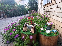 Секреты благоустройства от семьи Тарабриных