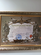 Ещё одна заслуженная награда для лидера волонтёрского движения «Варфоломеевцы и Другие…»