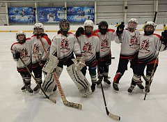 Александровогайские хоккеисты завоевали бронзу турнира «Золотая шайба»