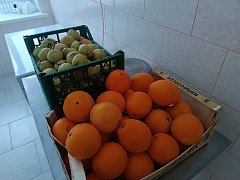 Детям Александрово — Гайского района обеспечили качественное питание благодаря инициативе Вячеслава Володина