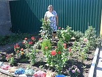 Цветочный салют на улице Рабочей в Александровом Гае