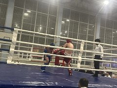 Блестящий дебют александровогайских кикбоксёров