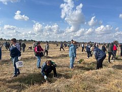 Жители Александрово-Гайского района вышли на экологический субботник