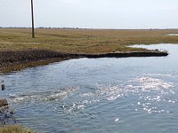 В Александрово-Гайском районе продолжается осенняя закачка прудов