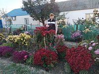 Мой двор — моя гордость: почему в Александровом Гае осень отказывается уходить