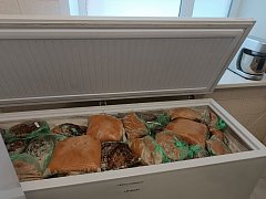 Детям Александрово — Гайского района обеспечили качественное питание благодаря инициативе Вячеслава Володина