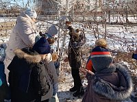 Юные натуралисты Александров Гая стали лауреатами областного конкурса 
