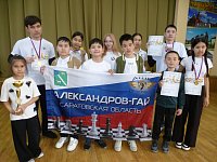 Шахматный триумф Александрово-Гайского района: юные таланты на пьедестале