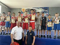Александровогайцы доминировали на открытом первенстве по боксу