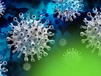В районе зарегистрированы случаи заболеваемости «свиным гриппом»