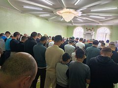 Глава Александрово-Гайского района поздравил мусульман с Курбан-Байрам