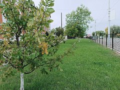 В Александров Гае прошел субботник: вместе делаем район чище