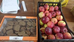  От сердца к сердцу: алгайцы отправляют подарки защитникам Родины