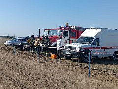 Учения ветеринаров в Александров Гае: готовы противостоять вспышкам болезней животных