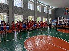 Александровогайцы доминировали на открытом первенстве по боксу
