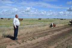 Александровогайские фермеры получили 22 млн рублей на содержание КРС