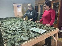 Три истории успеха территориального самоуправления в Александровом Гае