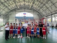 Александрово-Гайские юные боксёры на престижном турнире