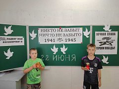 Летний отдых и оздоровление детей в Александрово-Гайском районе