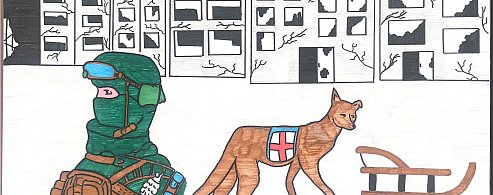 Студенты Александрово-Гайского лицея участвовали в международном конкурсе