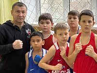 Боксёры из Александров Гая завоёвывают награды