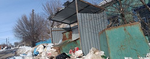 Мусорная вакханалия Александров Гая набирает обороты