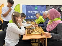 В Александров Гае прошел турнир по шахматам на призы главы района