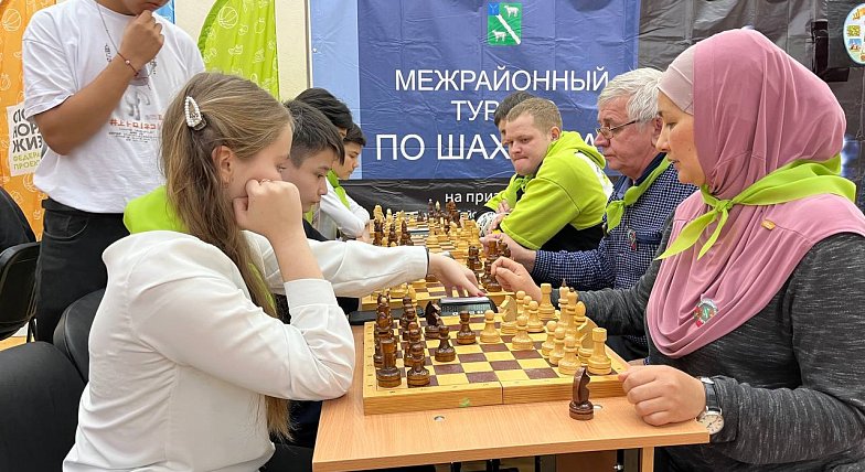 В Александров Гае прошел турнир по шахматам на призы главы района